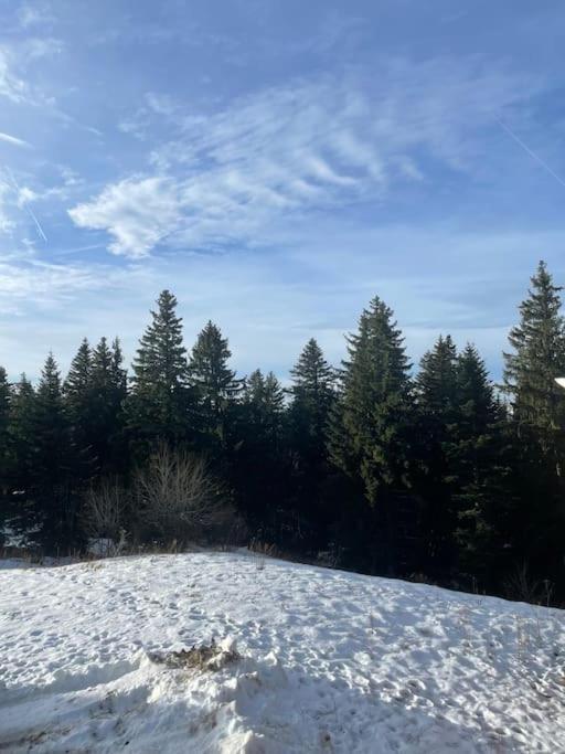 Chamrousse A 50M Des Pistes Appart 4/6 Zewnętrze zdjęcie